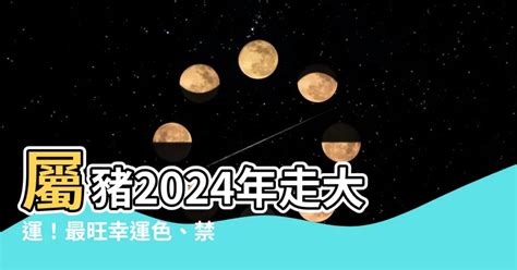 生肖豬幸運色|【屬豬幸運色】屬豬者專屬幸運色！2024豬年最強運勢指南